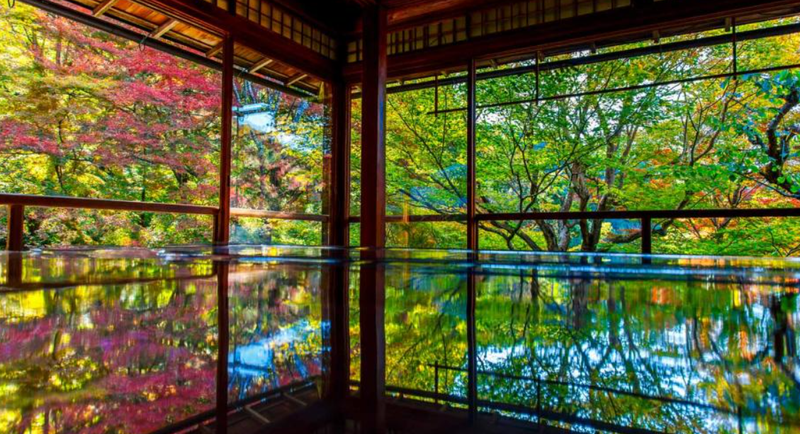 心癒される風景